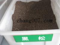 黑松种子_价格_图片_种植方法_育苗技术